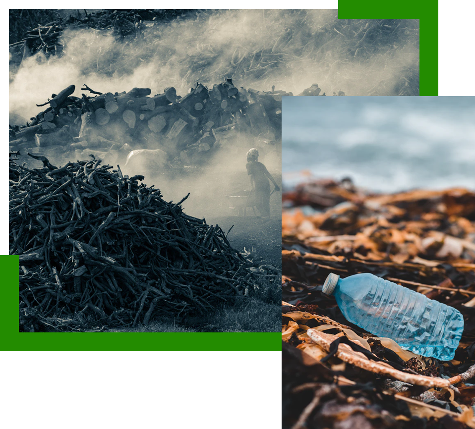inquinamento da plastiche monouso